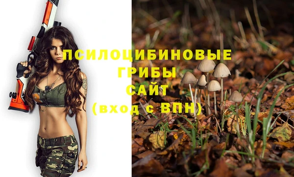 метадон Белокуриха